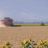 jatvena-kampania-2026-agrotv