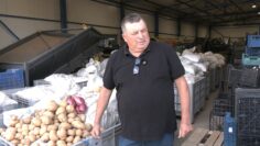 ovoshtari-sliven-iskania-protest-proizvoditeli-praskovi