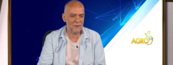 PASHATA V ZASHTITENI TERITORII