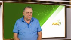 rapica-agrotv-rekolta