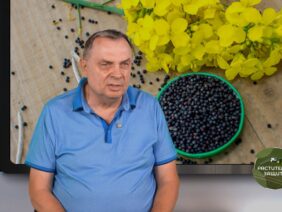 rapitsa-dobiv-tsena-rastitelna-zashtita-2026-2027