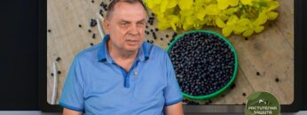 rapitsa-dobiv-tsena-rastitelna-zashtita-2026-2027