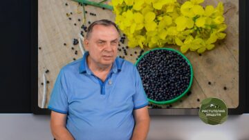 rapitsa-dobiv-tsena-rastitelna-zashtita-2026-2027