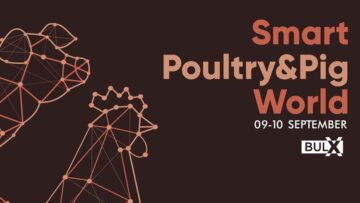 smart-and-poultry