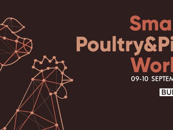 smart-and-poultry