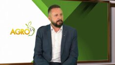 svinevadstvo-humanno-otnoshenie-finansova-podkrepa