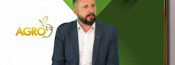svinevadstvo-humanno-otnoshenie-finansova-podkrepa