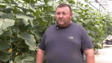 ZELENCHUKOPROIZVODITELI