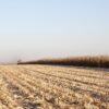 agroforum-tyutyun-spravedliva-tsena-napoyavane