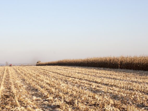 agroforum-tyutyun-spravedliva-tsena-napoyavane