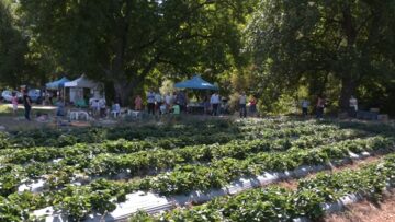 biozemedelie-ralchevi