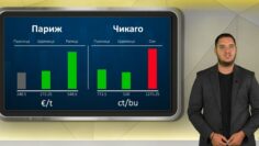 borsova-informacia-010926