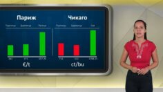borsova-informacia 08-09-2026