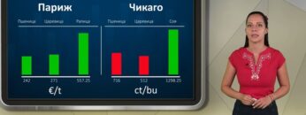 borsova-informacia 08-09-2026