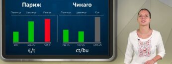 borsova-informacia-10-09-26