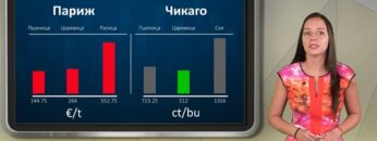 borsova-informacia-11-09-26