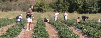 centralna-emisia-agro-tv-sharka-ptichi-grip-biozemedelie-turizam