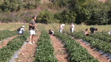 centralna-emisia-agro-tv-sharka-ptichi-grip-biozemedelie-turizam