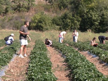 centralna-emisia-agro-tv-sharka-ptichi-grip-biozemedelie-turizam