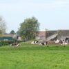 centralna-emisia-agro-tv-vaksinacia-sharka-cena-hlyab-bioproizvoditeli