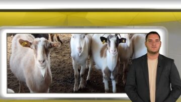 centralna-emisia-novini-29-09-2026-agrotv