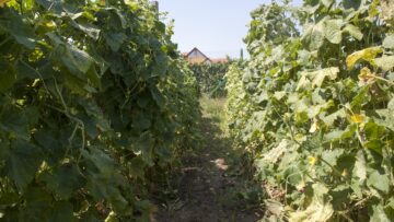 centralna-emisiya-agro-tv-170-mln-pochveni-analizi-rabotna-raka
