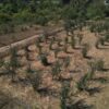 centralna-emisiya-agro-tv-sharka-antraks-koze-mlyako-rekolta