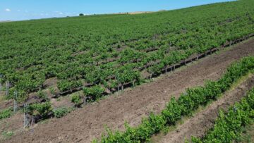 centralna-emisiya-agro-tv-vaksinatsiya-smart-poultry-pig-world-pchelarstvo