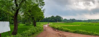 Indian Agricultural field with village road in the early morning.