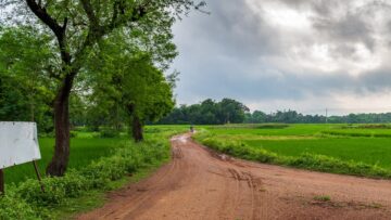 Indian Agricultural field with village road in the early morning.