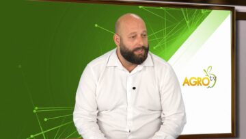 lozari-vineno-grozde-finansova-podkrepa