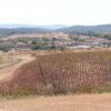niski-izkupni-ceni-izostavena-produkcia-poletata