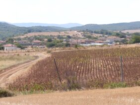 niski-izkupni-ceni-izostavena-produkcia-poletata
