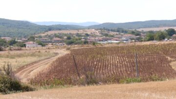 niski-izkupni-ceni-izostavena-produkcia-poletata
