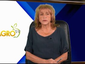 niski-tseni-vnos-rabotna-raka-rekolta-poleto