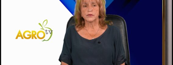 niski-tseni-vnos-rabotna-raka-rekolta-poleto