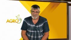 PCHELARSTVO