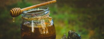 Jar of fresh honey and honey spoon on pine tree in woods.