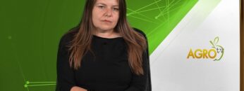 SELSKI I ALTERNATIVEN TURIZAM