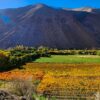 VIEW OF THE ELQUI VALLEY. PISCO ELQUI, CHILE.