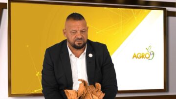 TUTUNOPROIZVODSTVO