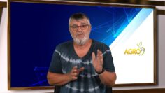 VAZOBNOVIAVANE NA PRIRODATA