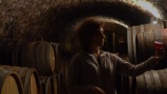 wino-kachestvo-proizvodstvo