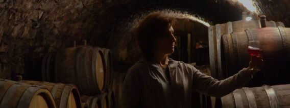 wino-kachestvo-proizvodstvo