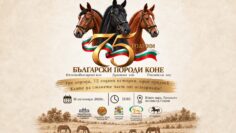balgarski-porodi-kone-75-godini-sofia