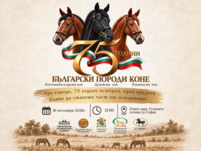 balgarski-porodi-kone-75-godini-sofia