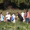 bioferma-bata-uchenici-agrotema