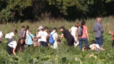 bioferma-bata-uchenici-agrotema