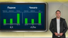 borsi-23-10-2026-agrotv