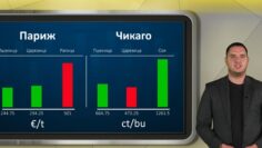 borsova-informacia-19-10-2026-agrobg